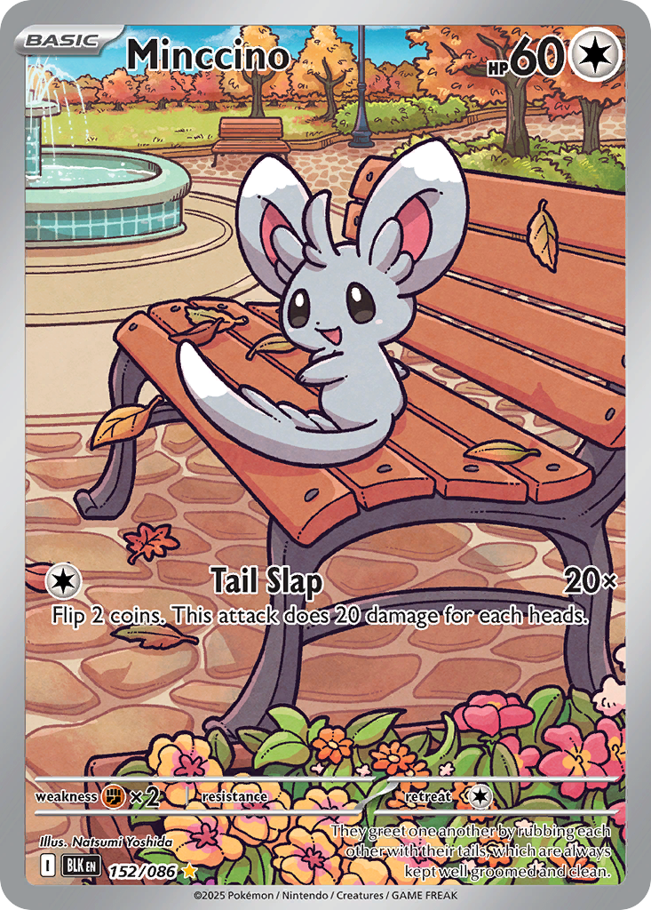 Minccino (152/86) - Black Bolt