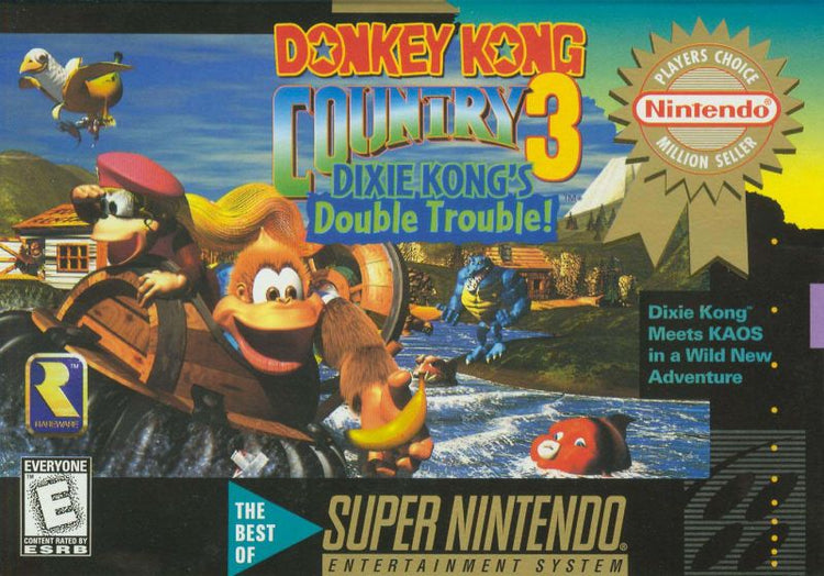 Donkey Kong Country 3 - SNES Game