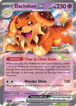 Dachsbun ex (67/142) - Stellar Crown