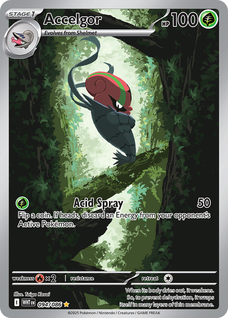 Accelgor (94/86) - White Flare